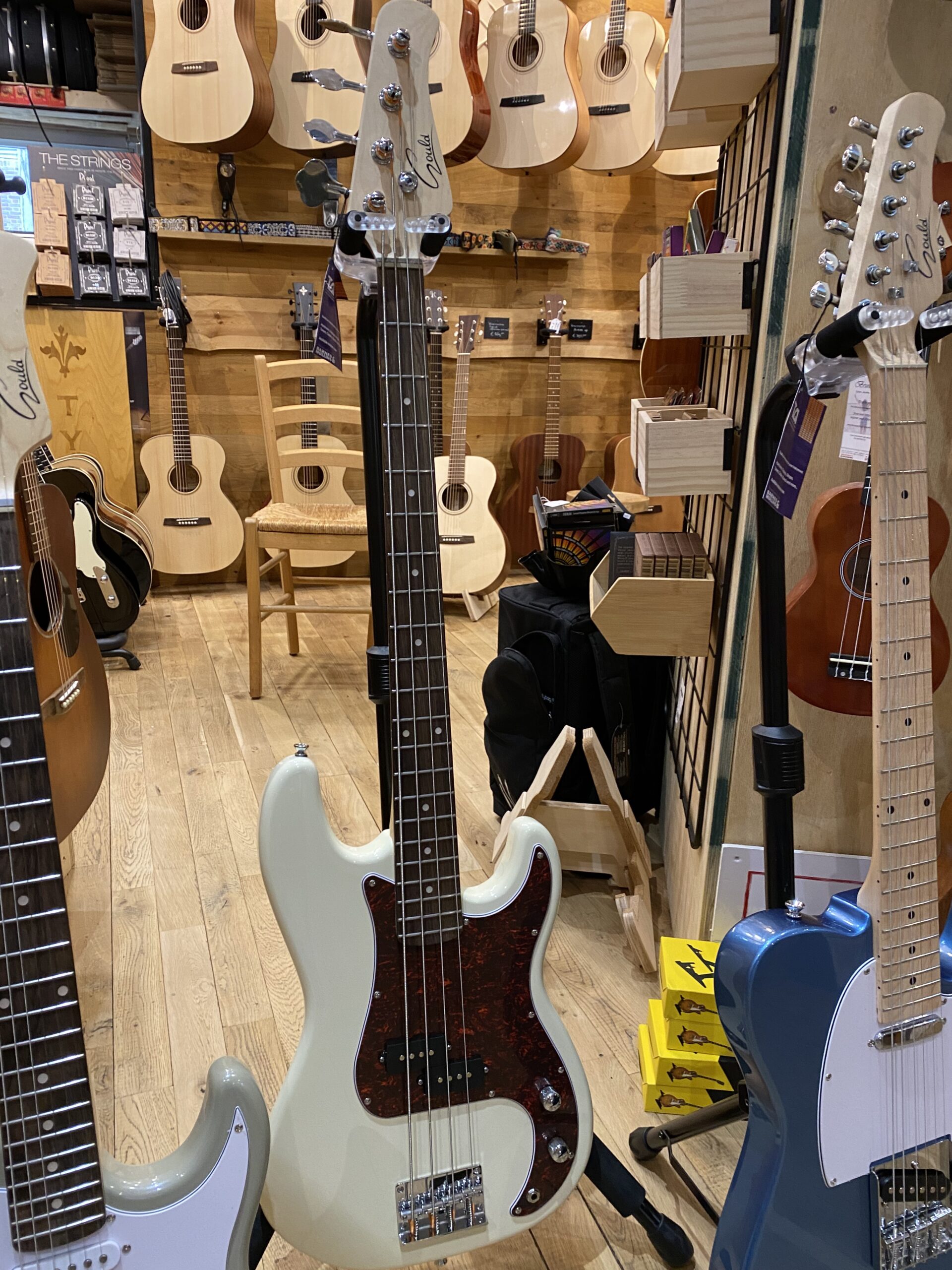 Gould GB50 CR Princeton model Bass – Cream