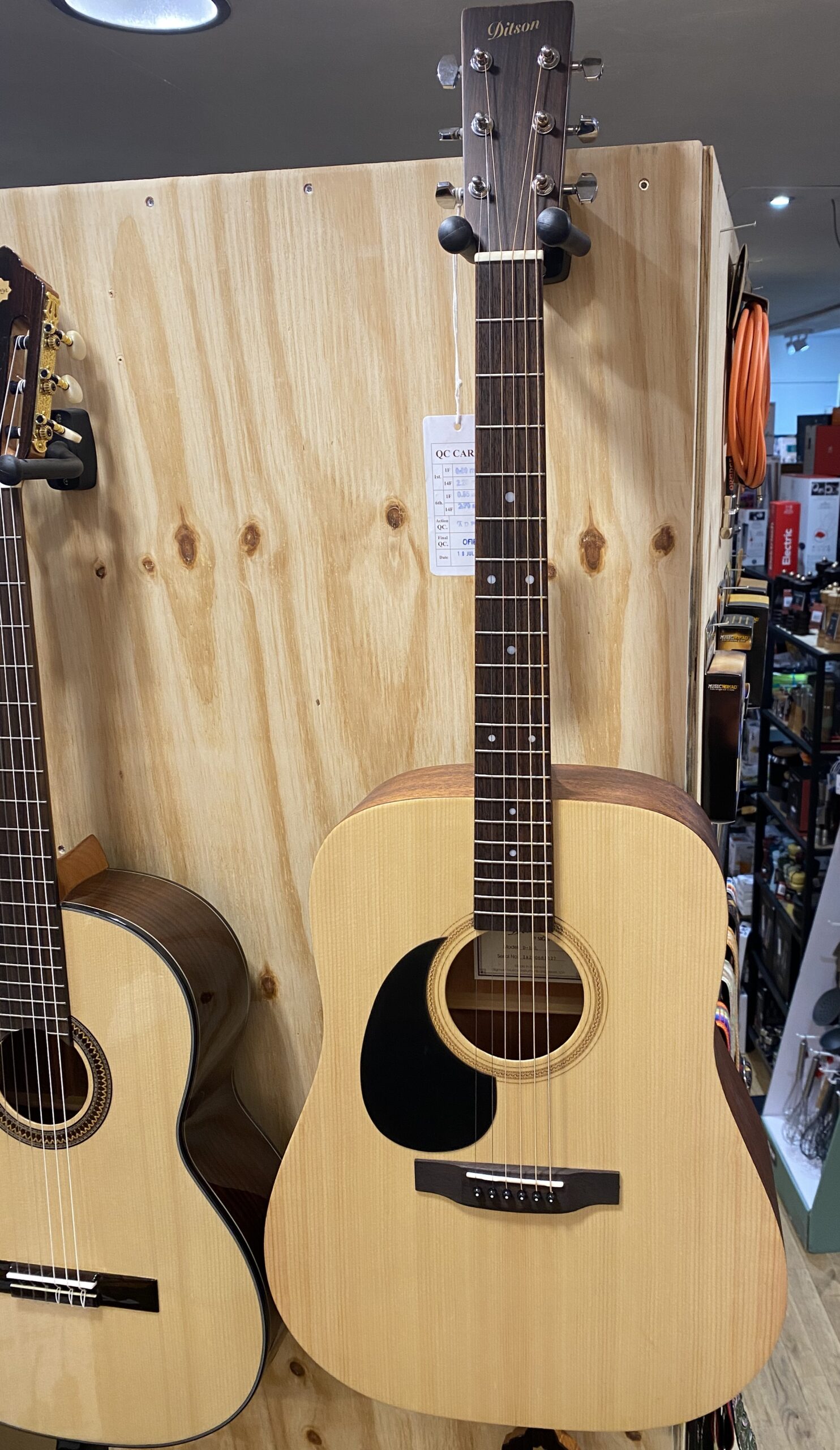 Ditson D-10 Linkshandig