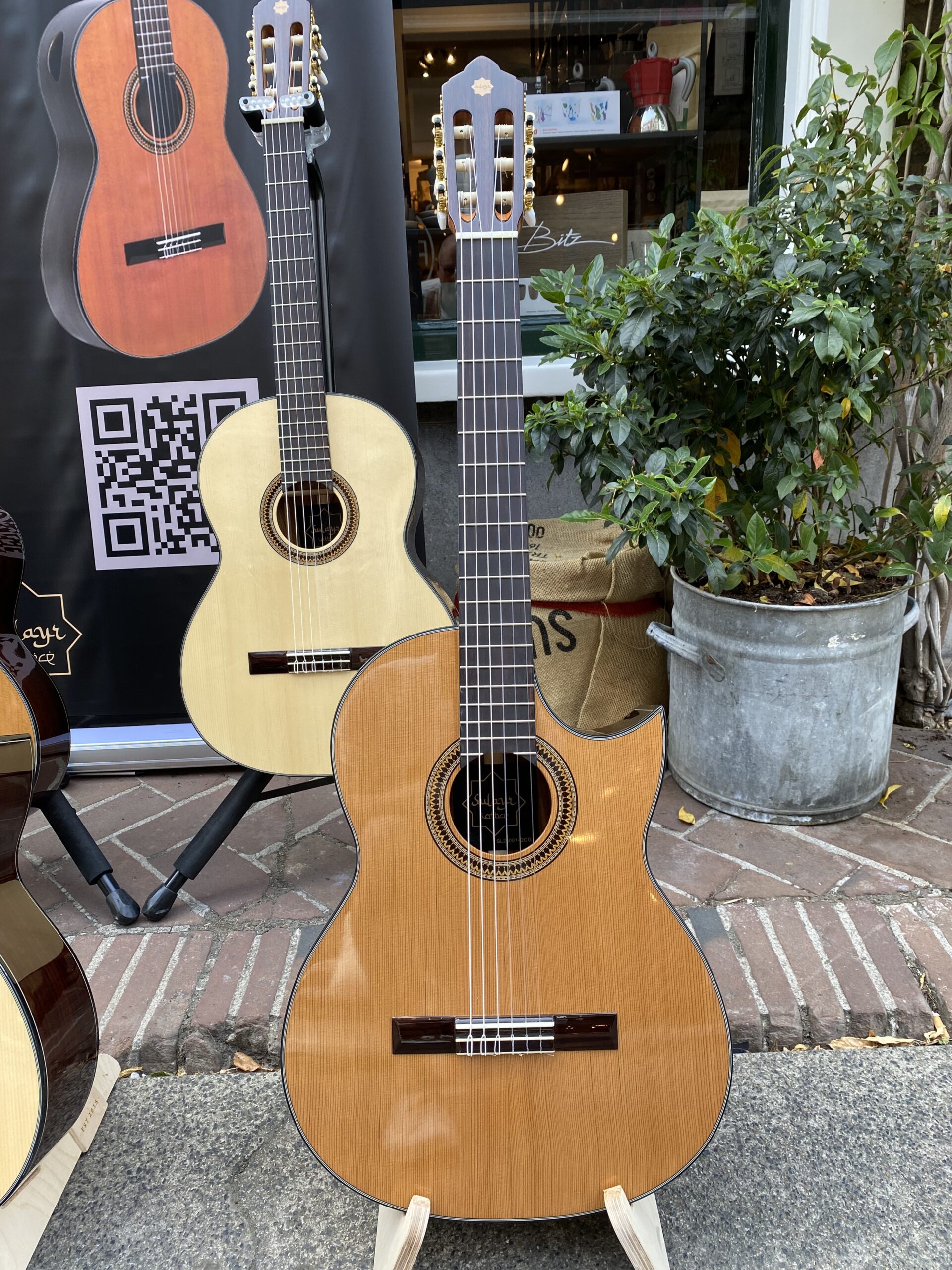 Sulayr Lattice ceder cutaway